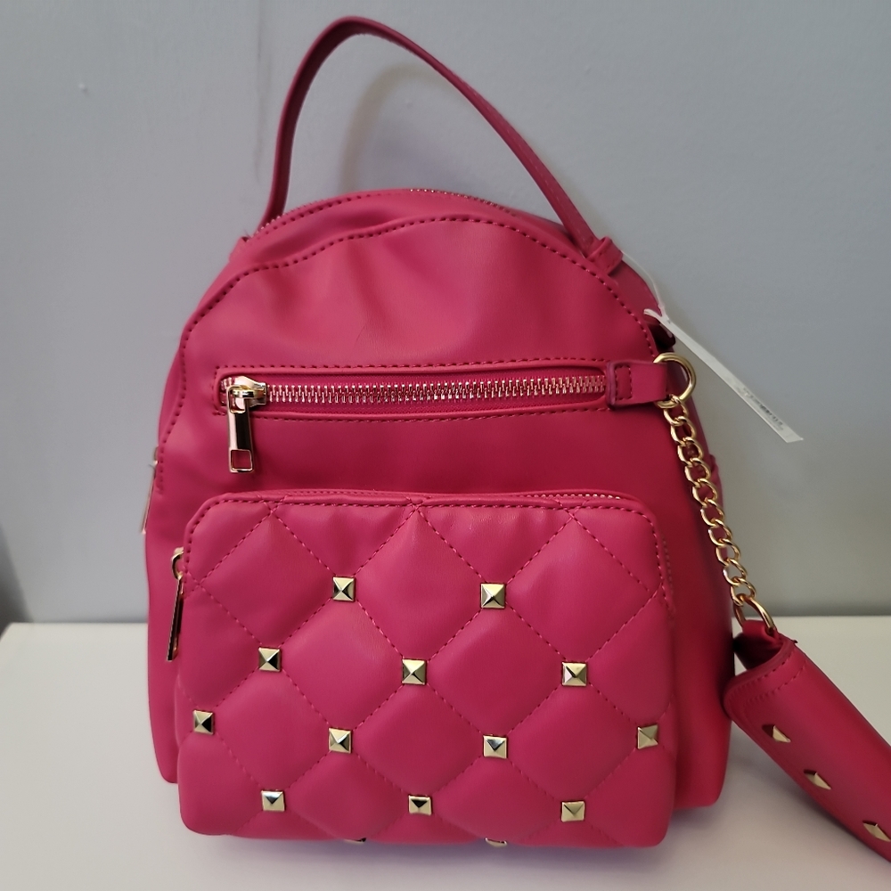 Beautiful Pink Back Pack